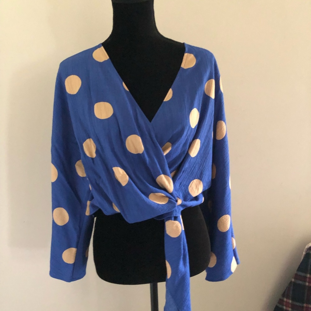 Zara Cropped Blouse